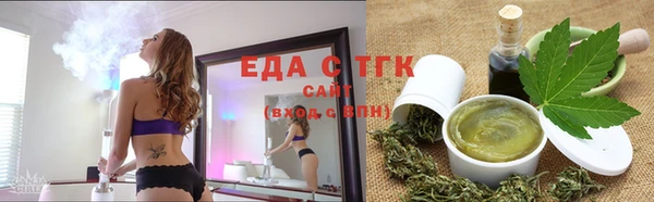 индика Алексин