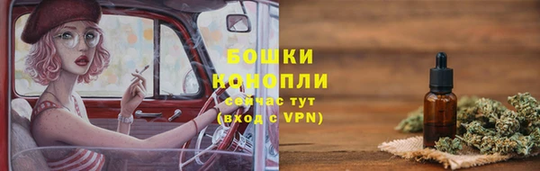 spice Алзамай