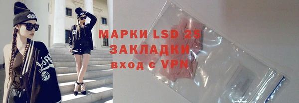 индика Алексин