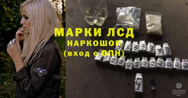 индика Алексин