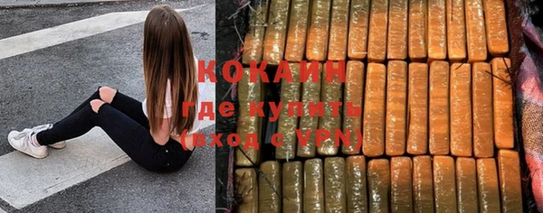 индика Алексин