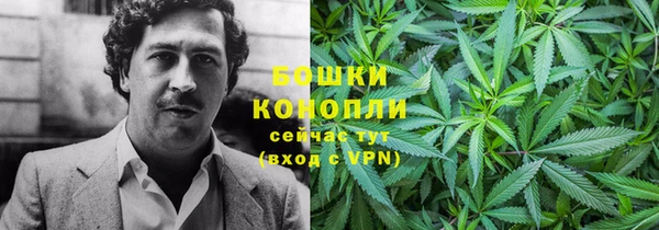 трава Няндома
