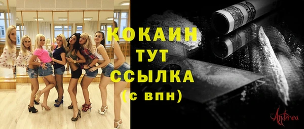 мяу мяу мука Абаза