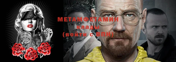 трава Няндома