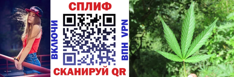где можно купить   Черногорск  Марихуана семена 
